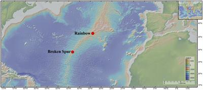 Soluble, Colloidal, and Particulate Iron Across the Hydrothermal Vent Mixing Zones in Broken Spur and Rainbow, Mid-Atlantic Ridge